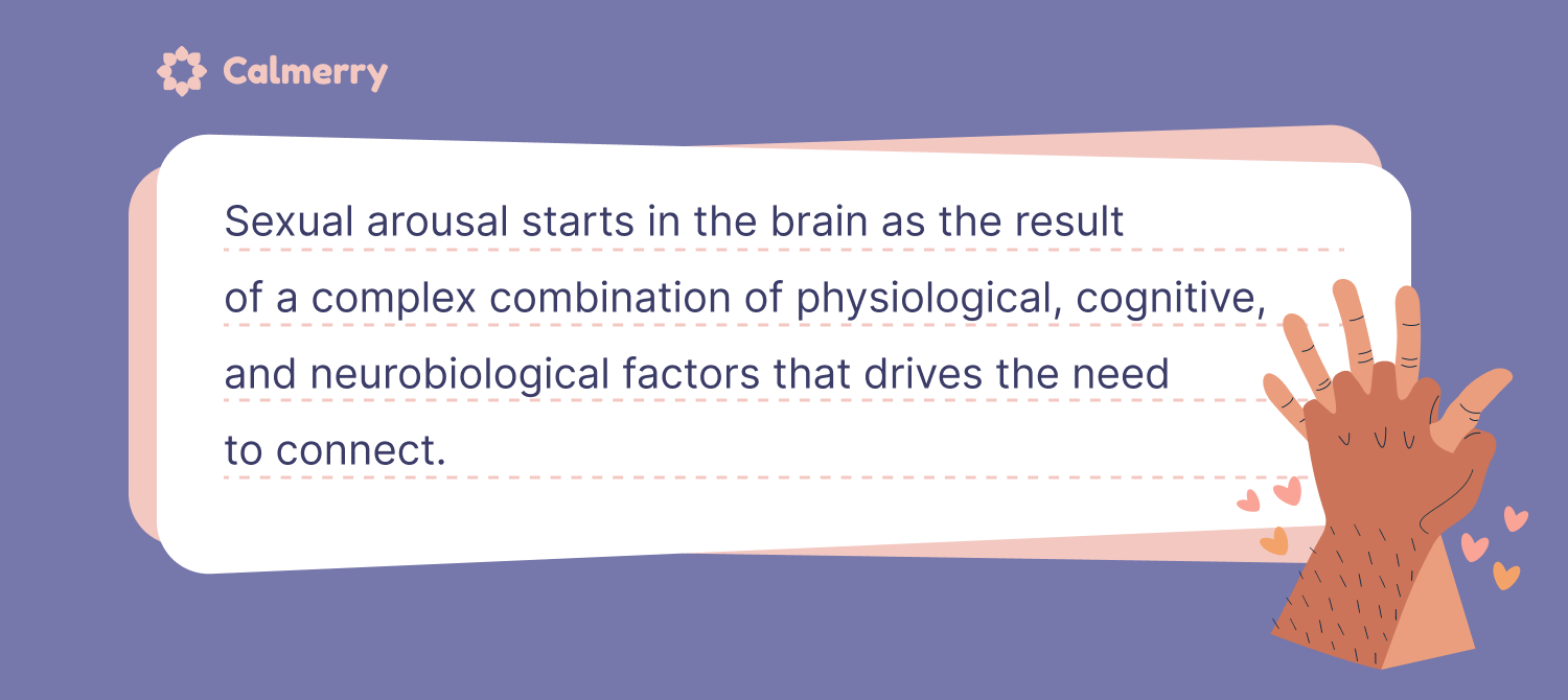 Sexual arousal starts in the brain as the result of a complex combination of physiological, cognitive, and neurobiological factors that drives the need to connect