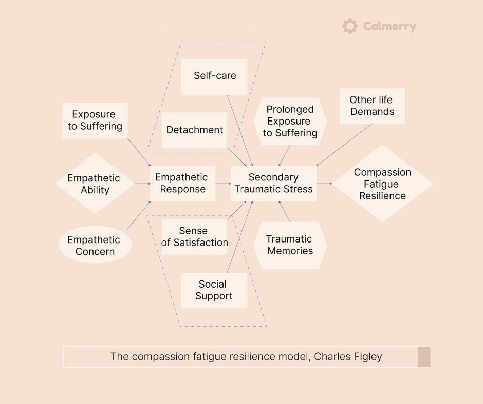 The compassion fatigue resilience model